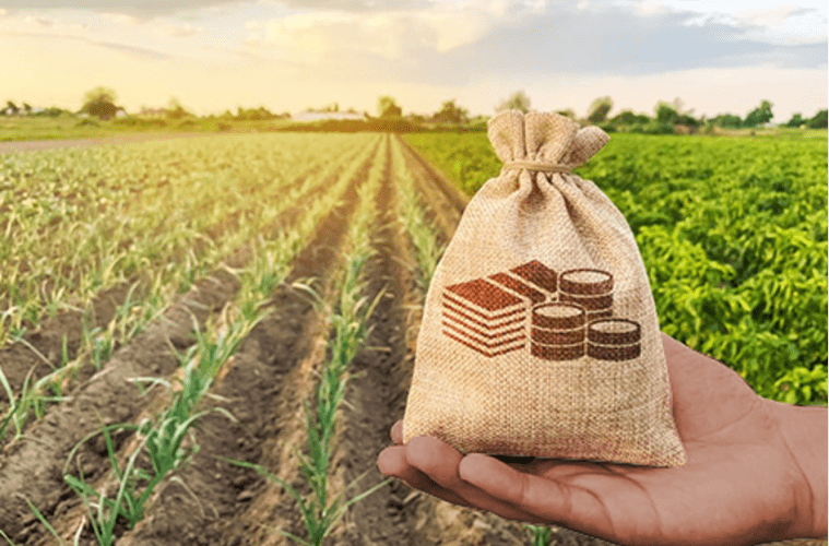 Quel-financement-pour-leconomie-paysanne-africaine-759x500